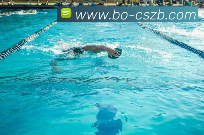 App Interface Preview